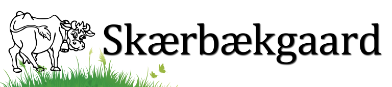 skærbækgaard 3600x800mm